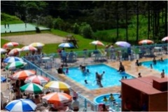 Aproveite a Temporada de Verão